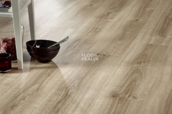 IVC Ultimo (Сlick) IVC Ultimo 24219N фото 4 | FLOORDEALER